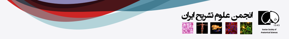 انجمن علوم تشریح ایران